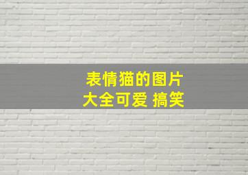 表情猫的图片大全可爱 搞笑